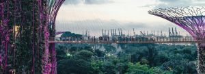 personnes sur un pont à Garden by the bay à Singapour