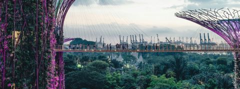 Avec son “économie chrysalide”, KPMG prospecte l’économie désirable de demain personnes sur un pont à Garden by the bay à Singapour