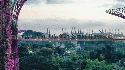 personnes sur un pont à Garden by the bay à Singapour