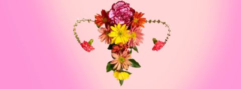 Mesdames votre ménopause attire les investisseurs, et c'est tant mieux ! Utérus réalisé avec des fleurs