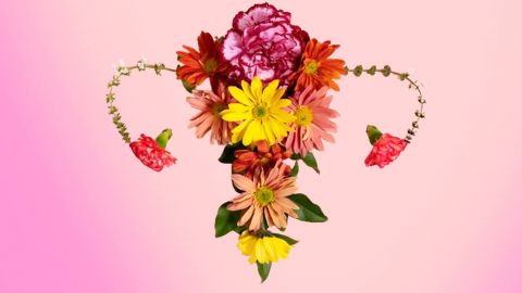 Utérus réalisé avec des fleurs