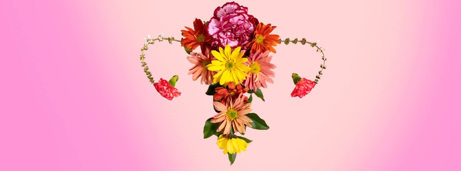 Mesdames votre ménopause attire les investisseurs, et c'est tant mieux ! - L'ADN Utérus réalisé avec des fleurs