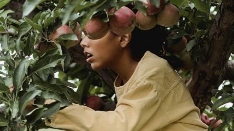 Une fille dans un pommier qui semble apeurée