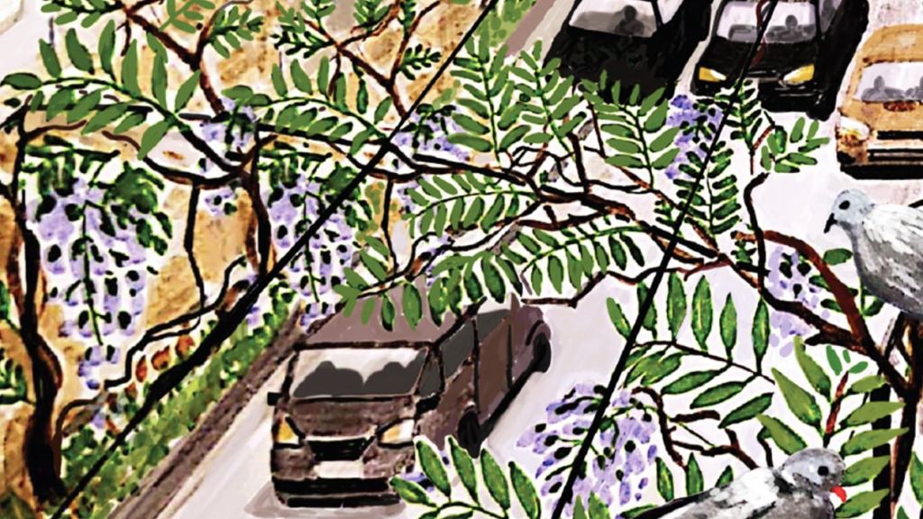 Adaptation au changement climatique : des solutions et enfin un chiffrage !  Illustration du périphérique avec de la glycine