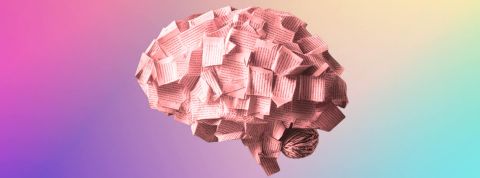 Notre QI impacte-t-il nos opinions politiques ? Un cerveau fait de pages de livres