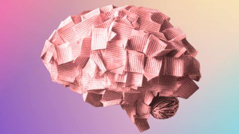 Un cerveau fait de pages de livres