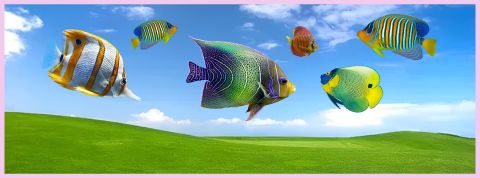 Frutiger aero, le futur qui n'a jamais eu lieu Des poissons tropicaux sur fond d'écran basique Microsoft