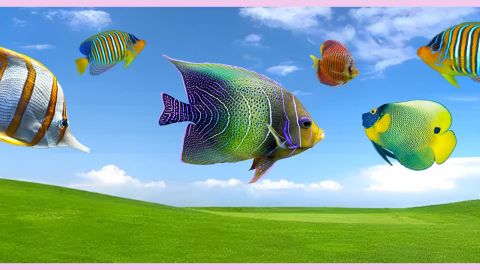 Frutiger aero, le futur qui n'a jamais eu lieu Des poissons tropicaux sur fond d'écran basique Microsoft