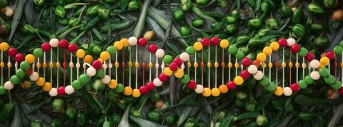 Nutrigénomique, nutrigénétique : doit-on manger selon son ADN pour vieillir en pleine forme ? Un brin d'ADN sur un fond