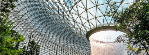 bresil arbres singapour