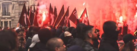 L'iconographie de l'extrême droite La manifestation du Comité du 9 Mai