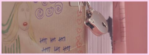 L'histoire du crush Un journal intime rose