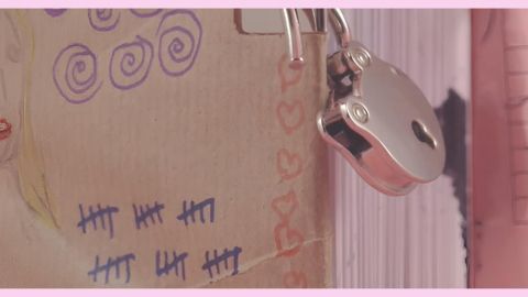 L'histoire du crush Un journal intime rose