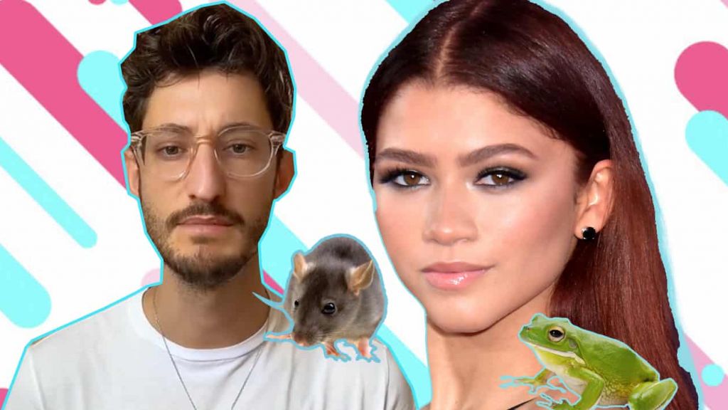 Êtes-vous plutôt souris ou grenouille ? Sur Tiktok, il faut choisir son camp