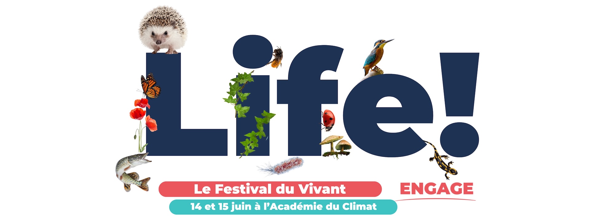 Untitled design - 1 Untitled design - 1