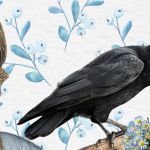 Franz Kafka, Jane Austen, Edgar Allan Poe, un corbeau noir, une tasse de thé