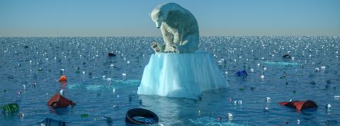 le déni politique de la crise climatique est toujours payant Un ours polaire sur un bout de banquise dans une mer très polluée