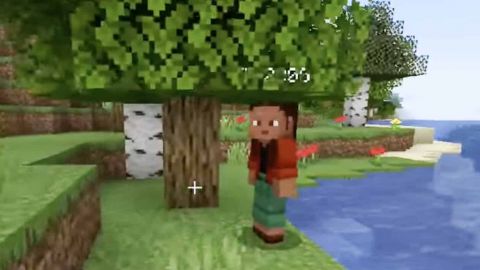 Une capture de jeu Minecraft avec un personnage