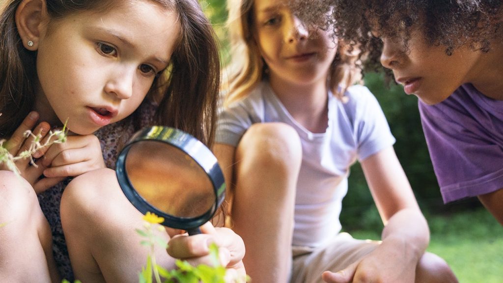 Des enfants dans la nature, avec une loupe