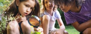 Des enfants dans la nature, avec une loupe