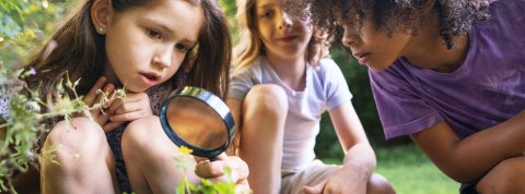 Des enfants dans la nature, avec une loupe