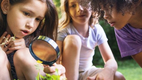 Des enfants dans la nature, avec une loupe