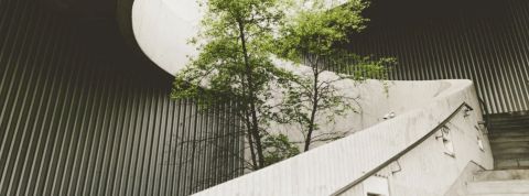 ESG escalier avec arbre au milieu