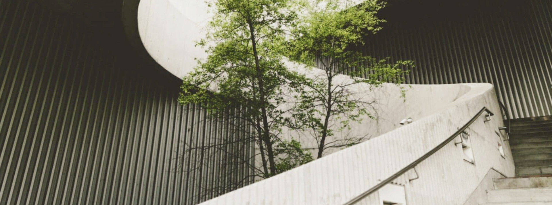 ESG - L'ADN escalier avec arbre au milieu
