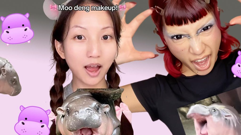 Montage avec des captures TikTok de make up Moo Deng