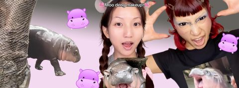 Moo-deng Montage avec des captures TikTok de make up Moo Deng