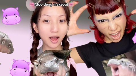 Montage avec des captures TikTok de make up Moo Deng