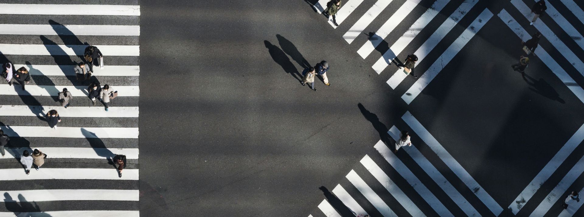 ryoji-iwata (3) - L'ADN pietons traversant la rue, vue du dessus
