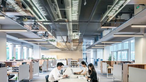 personnes dans des bureaux