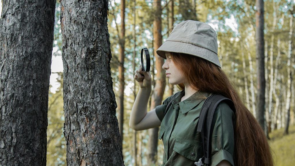 Une jeune fille inspecte le tronc d'un arbre dans une forêt