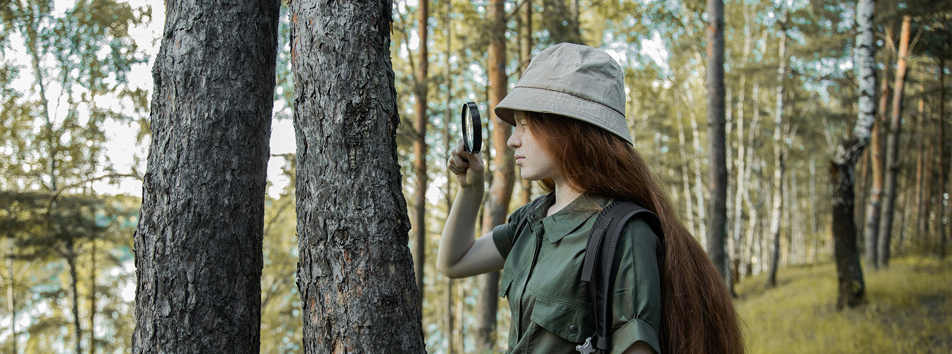 Idée politique à saisir : faire de nos forêts une grande cause ! - L'ADN Une jeune fille inspecte le tronc d'un arbre dans une forêt