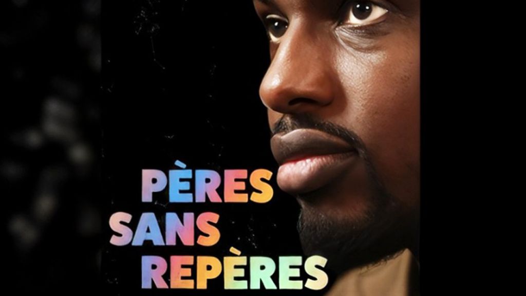 L'affiche de la série documentaire  - Pères sans repères - 