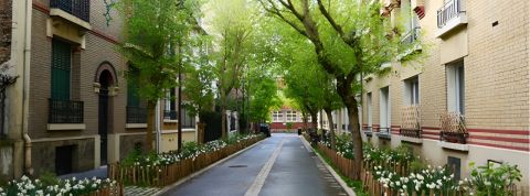 Nous voulons laisser la nature s'étendre partout en ville Une rue de Vincennes toute en verdure