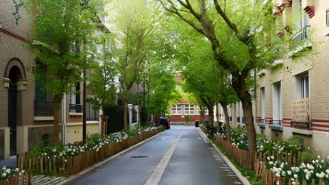 Une rue de Vincennes toute en verdure