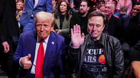 trump et elon
