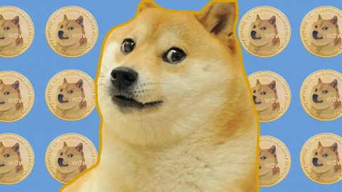 Dogecoin : Comment la plus punk des cryptos a fini par être récupérée par le plus troll des milliardaires