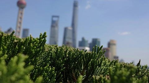 nature nature = futur