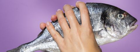 Des écosystèmes fragilisés ou détruits, des marins ruinés, les océans pollués qui ont rendu les poissons mauvais par notre santé. Et si on mettait un coup de frein à notre surconsommation ? Des mains féminines qui tiennent un poisson
