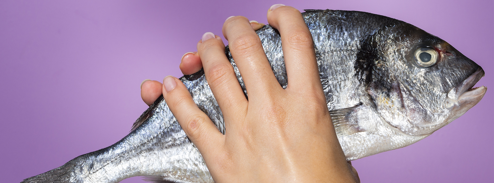 Des écosystèmes fragilisés ou détruits, des marins ruinés, les océans pollués qui ont rendu les poissons mauvais par notre santé. Et si on mettait un coup de frein à notre surconsommation ? - L'ADN Des mains féminines qui tiennent un poisson