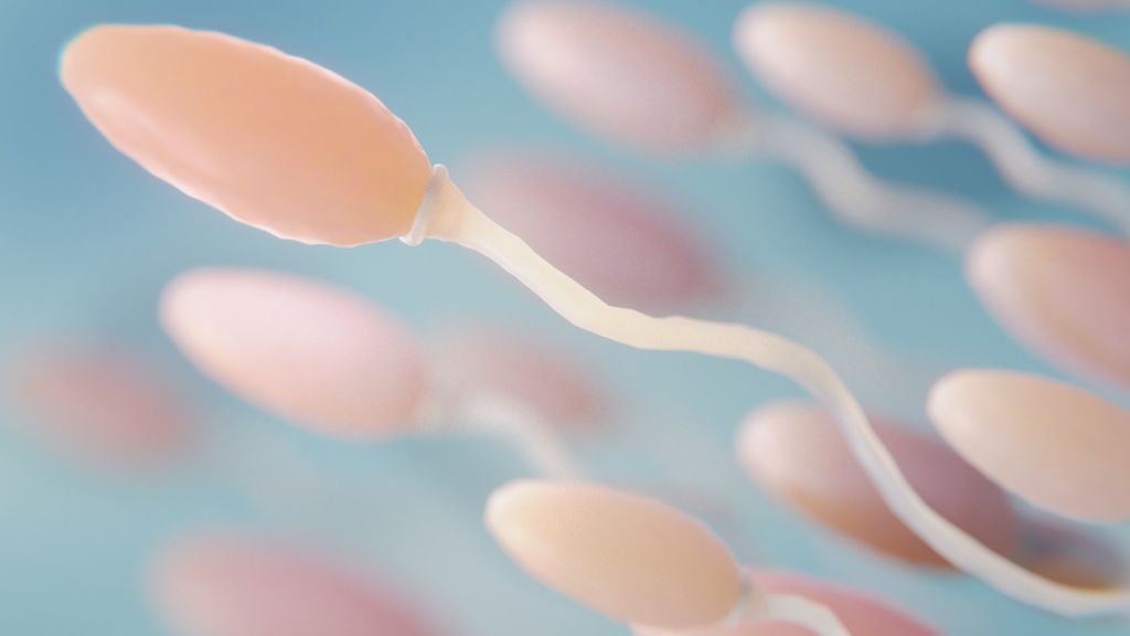 Des spermatozoides sur fond bleu