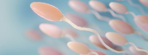 L’IA peut-elle booster notre fertilité ?  Des spermatozoides sur fond bleu