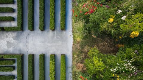 Un jardin très organisé vs un jardin à l'anglaise