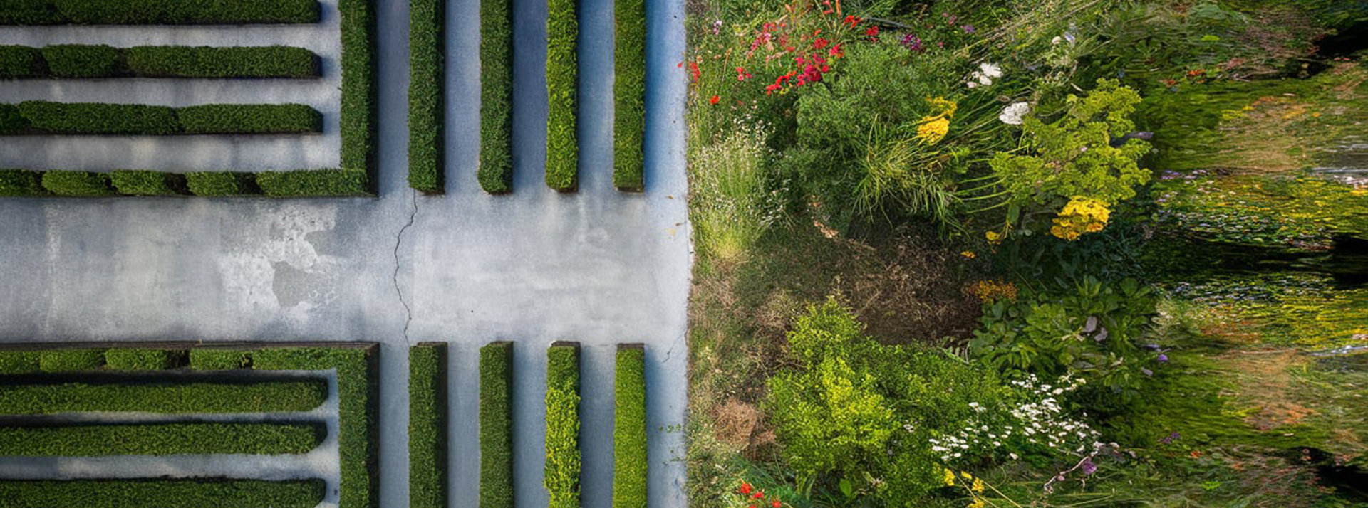 Peut-on faire bouger les lignes sans tout casser ? - L'ADN Un jardin très organisé vs un jardin à l'anglaise