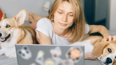 Une jeune femme sur son lit devant son ordi avec ses deux chiens