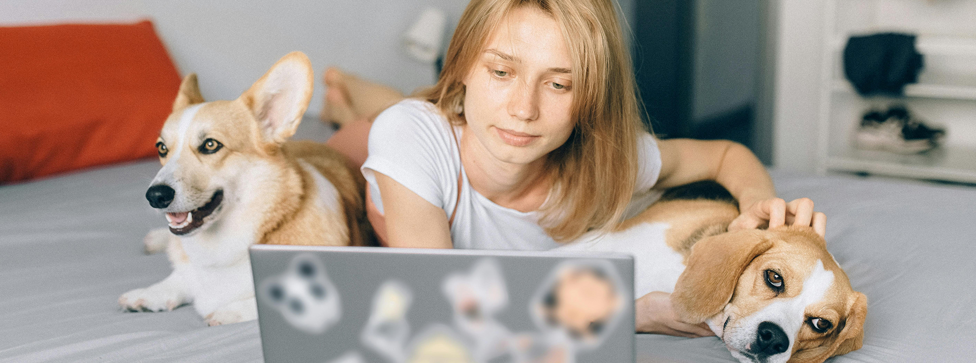 Une jeune femme sur son lit devant son ordi avec ses deux chiens