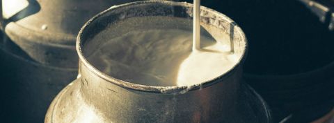 Retour en grâce du lait cru : une histoire d'influence Un broc en métal de lait cru